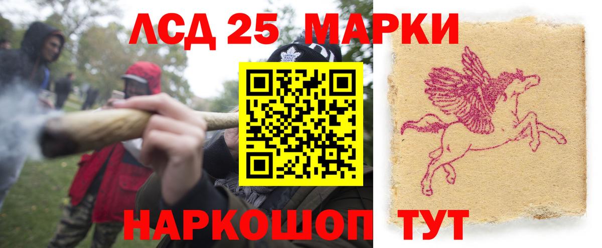 Лсд 25 Ирбит