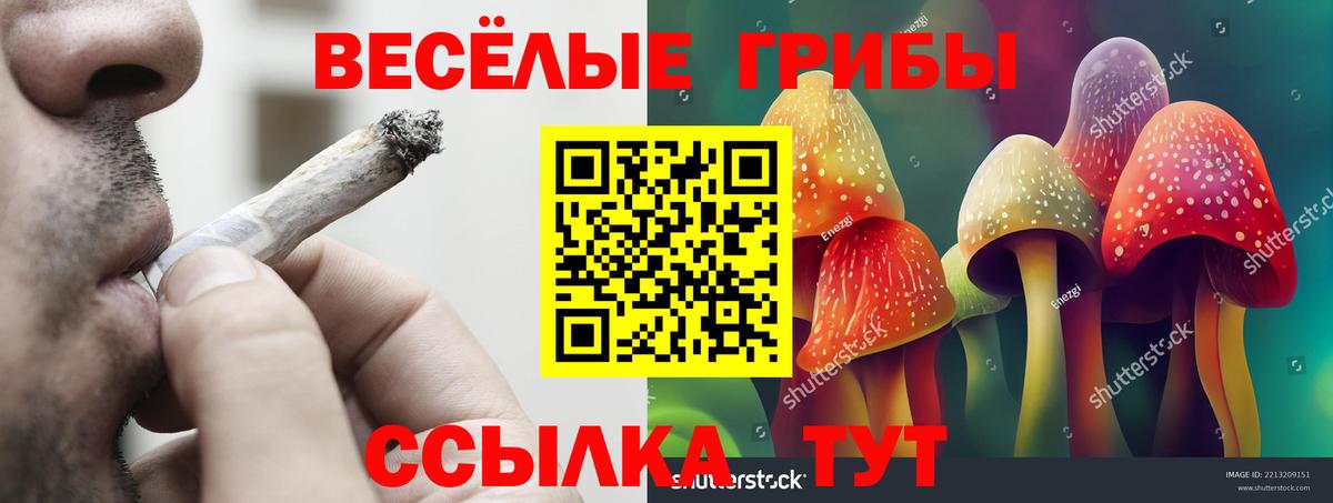 Галлюциногенные грибы мухоморы  Вход с VPN  Ирбит  Псилоцибиновые грибы MAGIC MUSHROOMS 